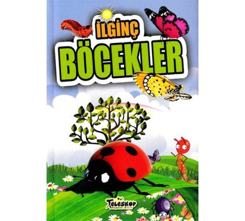İlginç Böcekler - İlginç Bilgiler Serisi