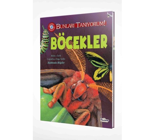 Bunları Tanıyorum! - Böcekler