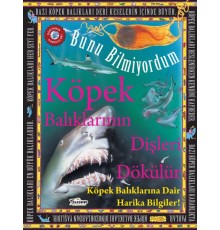 Köpek Balıklarının Dişleri Dökülür - Bunu Bilmiyordum - Köpek Balıklarına Dair Harika Bilgiler!