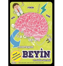 Muhteşem Beyin Ve Sinir Sistemi