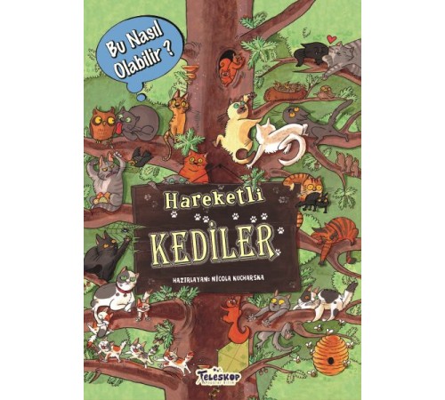 Hareketli Kediler - Bu Nasıl Olabilir?