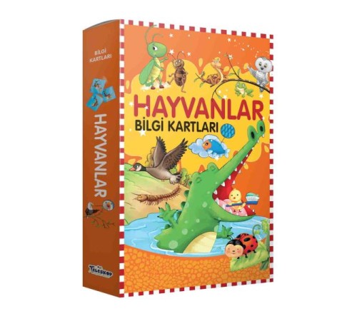 Bilgi Kartları - Hayvanlar