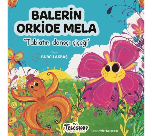 Balerin Orkide Mela
