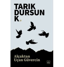 Alçaktan Uçan Güvercin