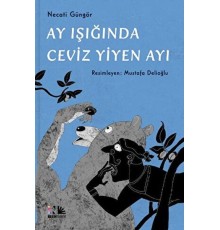 Ay Işığında Ceviz Yiyen Ayı