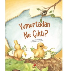 Yumurtadan Ne Çıktı?