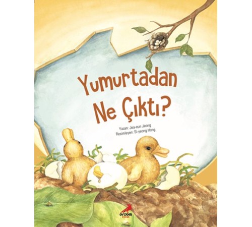 Yumurtadan Ne Çıktı?