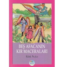 Beş Afacanın Kır Maceraları