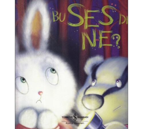 Bu Ses de Ne? Bu Ses de Ne?