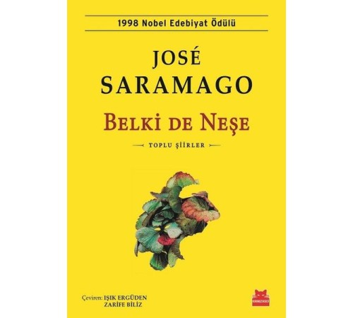 Belki de Neşe