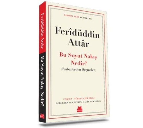 Bu Soyut Nakış Nedir? Bu Soyut Nakış Nedir?