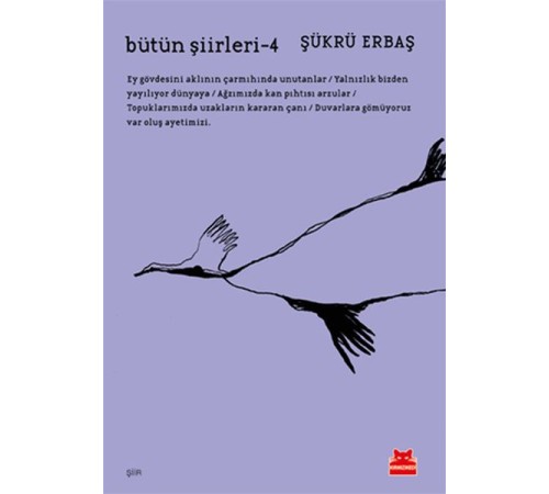 Bütün Şiirleri 4