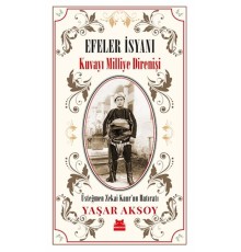 Efeler İsyanı - Kuvayı Milliye Direnişi