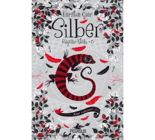 Silber - Rüyalar Kitabı 03