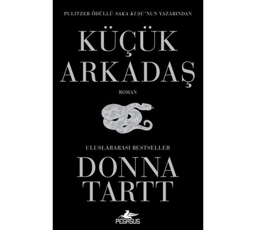 Küçük Arkadaş