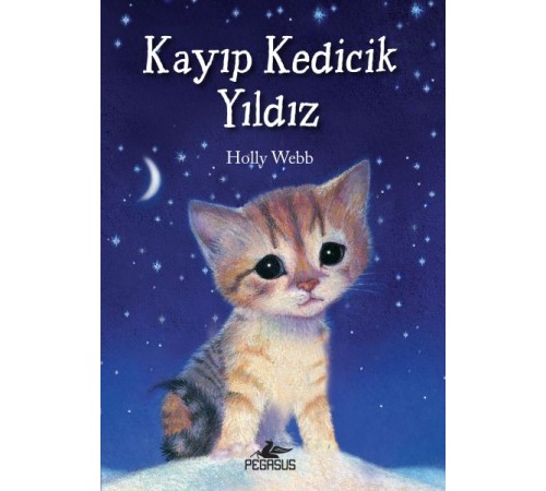 Kayıp Kedicik Yıldız Kayıp Kedicik Yıldız