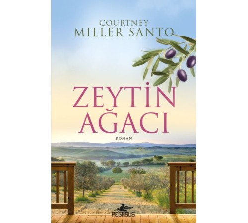 Zeytin Ağacı