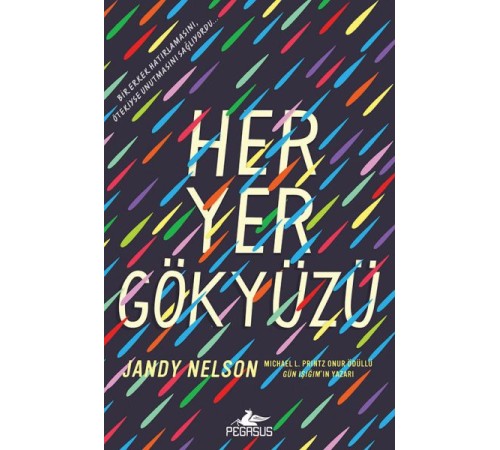 Her Yer Gökyüzü