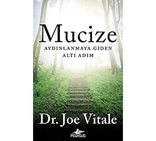 Mucize: Aydınlanmaya Giden Altı Adım
