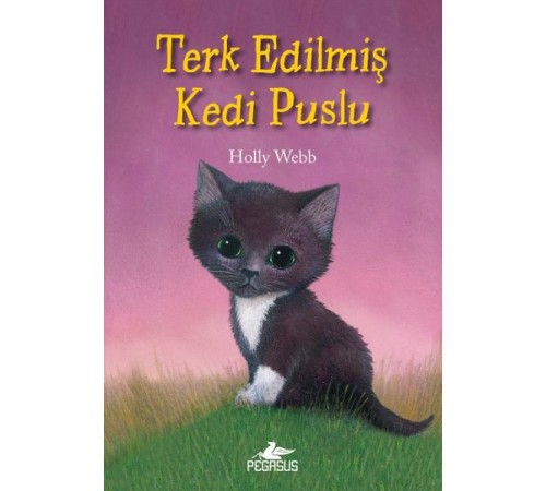Terk Edilmiş Kedi Puslu