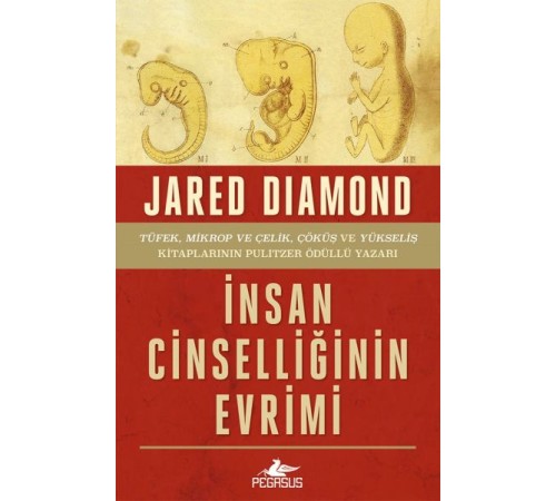 İnsan Cinselliğinin Evrimi - Ciltsiz