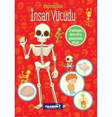 İnsan Vücudu Araştırma Dizisi