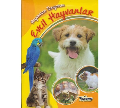 Hayvanları Tanıyorum Evcil Hayvanlar
