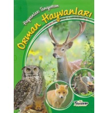 Hayvanları Tanıyorum Orman Hayvanları