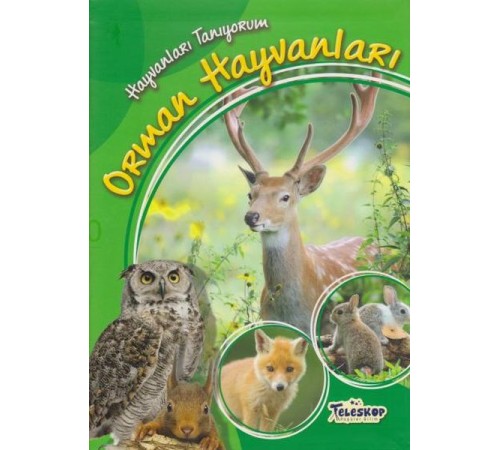Hayvanları Tanıyorum Orman Hayvanları