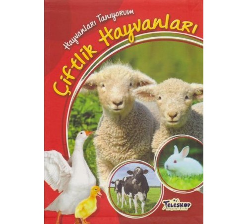 Hayvanları Tanıyorum Çiftlik Hayvanları