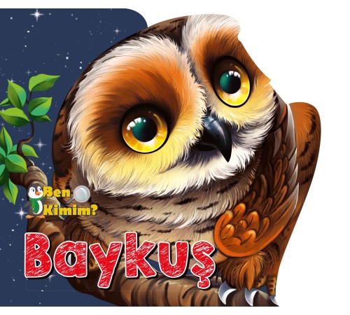 Ben Kimim? - Baykuş