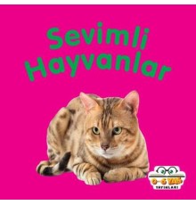 Sevimli Hayvanlar - Mini Karton Kitaplar