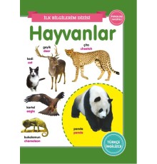 Hayvanlar - İlk Bilgilerim Dizisi