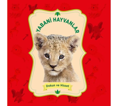 Yabani Hayvanlar - Dokun ve Hisset Yabani Hayvanlar - Dokun ve Hisset