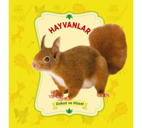 Hayvanlar - Dokun ve Hisset Hayvanlar - Dokun ve Hisset
