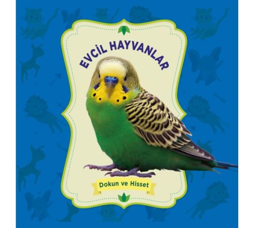 Evcil Hayvanlar - Dokun ve Hisset Evcil Hayvanlar - Dokun ve Hisset