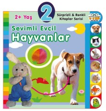 Yaş Sevimli Evcil Hayvanlar (2+Yaş)