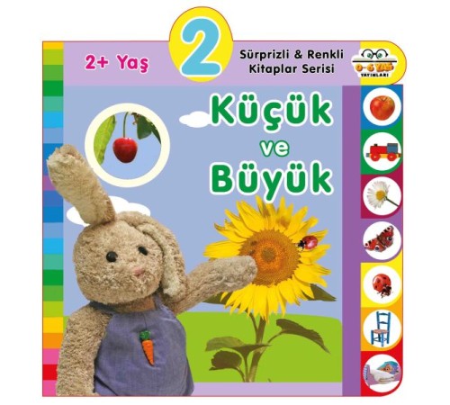 Yaş Küçük ve Büyük (2+Yaş)