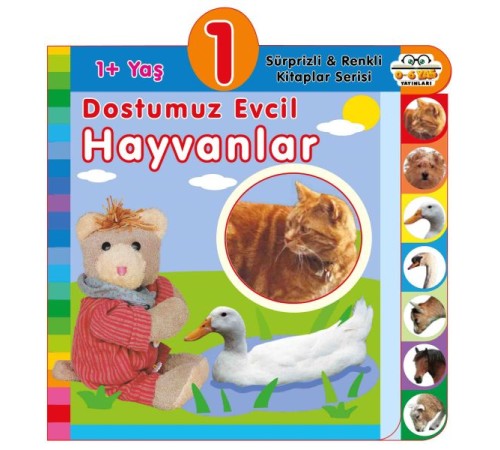 Dostumuz Evcil Hayvanlar (1+Yaş)