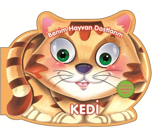 Kedi - Benim Hayvan Dostlarım (Ciltli)