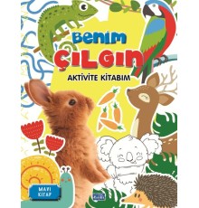 Benim Çılgın Aktivite Kitabım Mavi Kitap