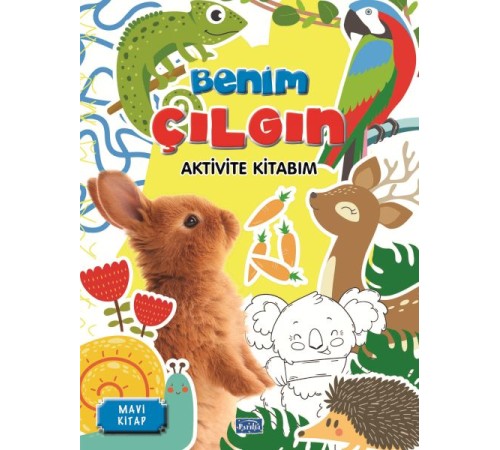 Benim Çılgın Aktivite Kitabım Mavi Kitap