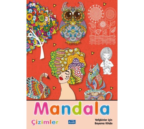 Mandala Çizimler