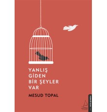 Yanlış Giden Bir Şeyler Var