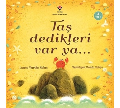 Taş Dedikleri Var Ya...