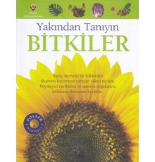 Bitkiler - Yakından Tanıyın