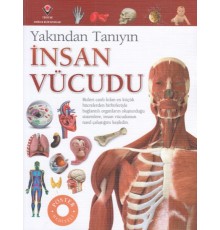 İnsan Vücudu - Yakından Tanıyın