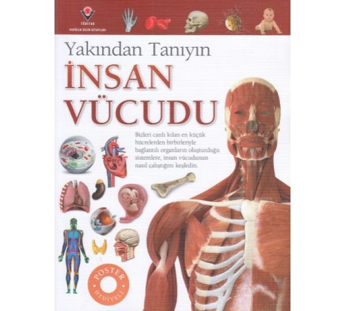 İnsan Vücudu - Yakından Tanıyın
