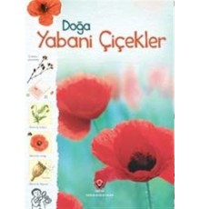 Doğa-Yabani Çiçekler