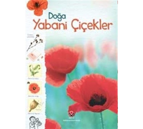 Doğa-Yabani Çiçekler